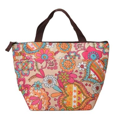 De openluchtzak van de de leverings koelere lunch van het Geschiktheids In het groot Draagbare geïsoleerde voedsel