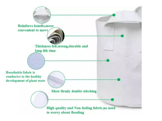 De fabrikanten over de grensgroothandel die en zak milieubescherming planten cultiveren voelden cultuur en onderhoud