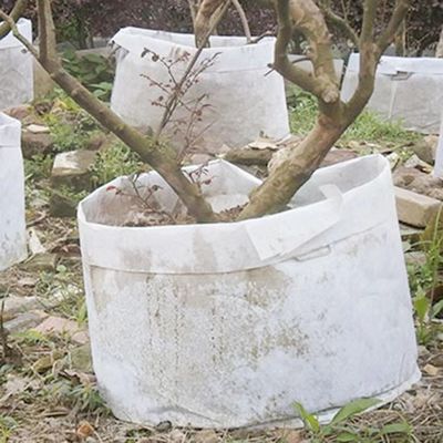 Pas Heet aan Verkopend de niet geweven zak van de stoffen Biologisch afbreekbare installatie de in te ademen fletboom zak van het zak de grote kinderdagverblijf met handvat kweekt
