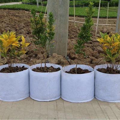 Pas Heet aan Verkopend de niet geweven zak van de stoffen Biologisch afbreekbare installatie de in te ademen fletboom zak van het zak de grote kinderdagverblijf met handvat kweekt