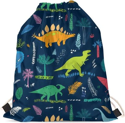 Van de de Jongensschooltas van de beeldverhaaldinosaurus van de de Dinosaurusgymnastiek de Lichtgewicht Draagbare Zakken van Drawstring voor Reissporten