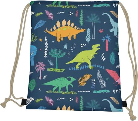 Van de de Jongensschooltas van de beeldverhaaldinosaurus van de de Dinosaurusgymnastiek de Lichtgewicht Draagbare Zakken van Drawstring voor Reissporten