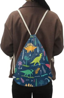 Van de de Jongensschooltas van de beeldverhaaldinosaurus van de de Dinosaurusgymnastiek de Lichtgewicht Draagbare Zakken van Drawstring voor Reissporten